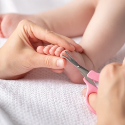 &Phi;&omega;&tau;&omicron;&gamma;&rho;&alpha;&phi;ί&alpha; &kappa;&alpha;&tau;&eta;&gamma;&omicron;&rho;ί&alpha;&sigmaf;: &Phi;&rho;&omicron;&nu;&tau;ί&delta;&alpha; &Nu;&upsilon;&chi;&iota;ώ&nu; &Mu;&omega;&rho;&omicron;ύ